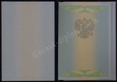 Бакалавр 2010-2013 