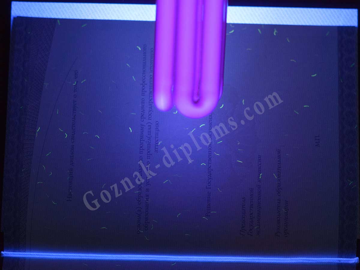 Диплом техникума или колледжа 2014-2026